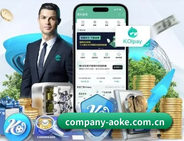 company-aoke.com.cn APP 深度功能